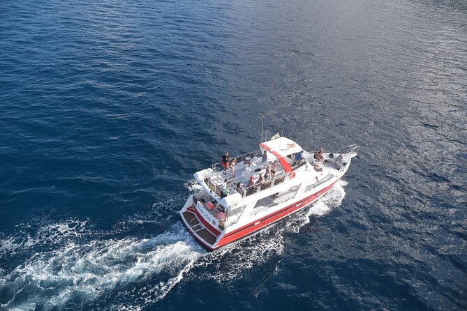 Tenerife Los Cristianos: Whale and Dolphin Eco-Yacht and Swim Stop - Practical details before you reserve