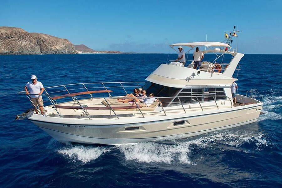 Tenerife: Whale tour and sea swim on a yacht for 22 people - Key points to know before booking