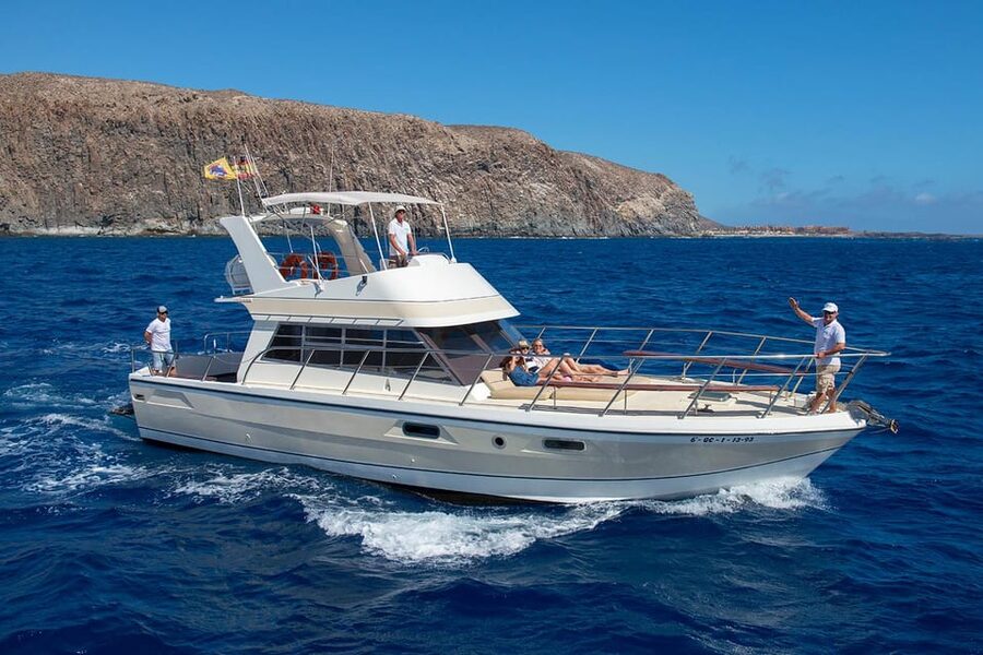Tenerife: Whale tour and sea swim on a yacht for 22 people - Why Tenerife’s west coast is good for whale watching