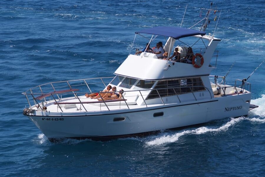 Tenerife: Whale tour and sea swim on a yacht for 22 people - Looking for dolphins, whales, and turtles