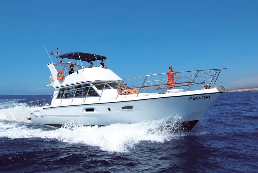 Tenerife: Whale tour and sea swim on a yacht for 22 people - Who will enjoy this yacht trip most
