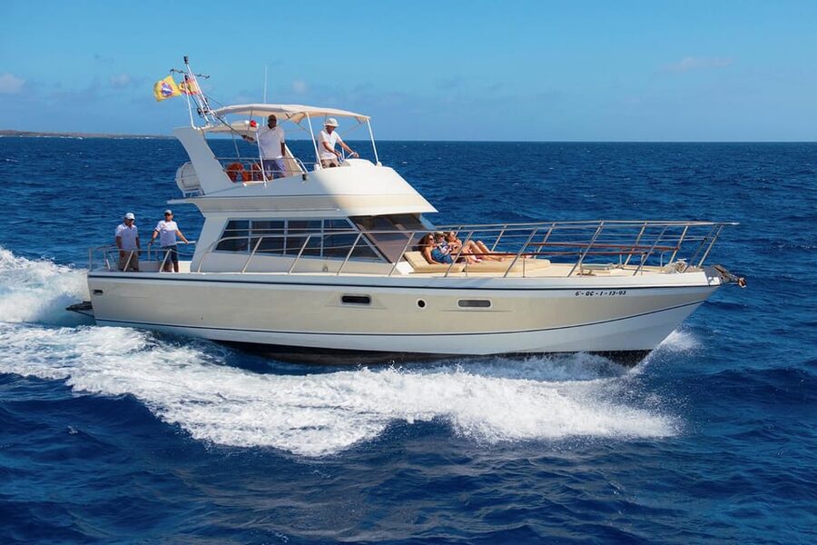 Tenerife: Whale tour and sea swim on a yacht for 22 people - The wildlife search, with room to move