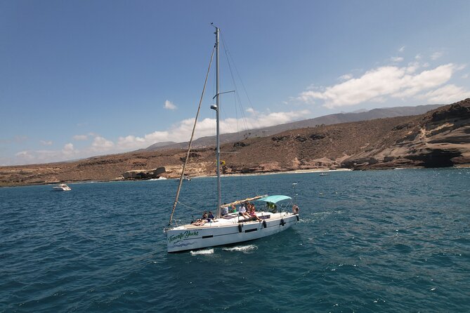 Tenerife Whale Watching and Snorkeling Yacht Trip - Searching for whales and dolphins off Tenerife