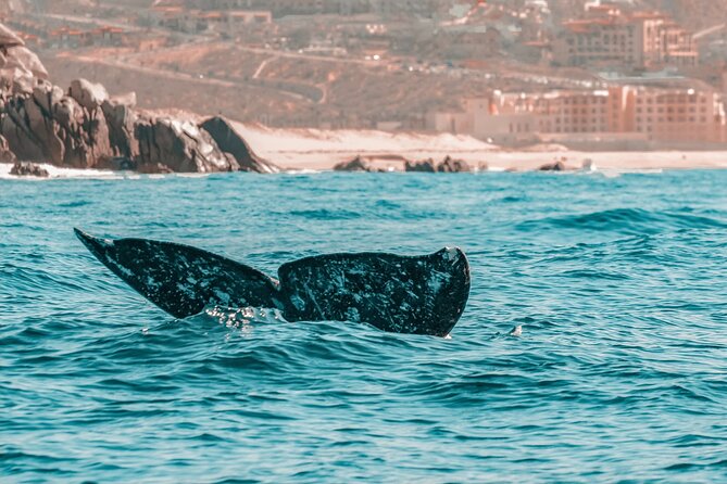 The Finest Private Yacht Experience in Cabo - The yacht question: clarify before departure