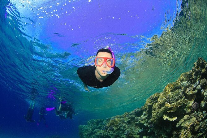 Tiran Island Snorkeling Experience by Yacht Sharm El Sheikh - The optional scuba experience