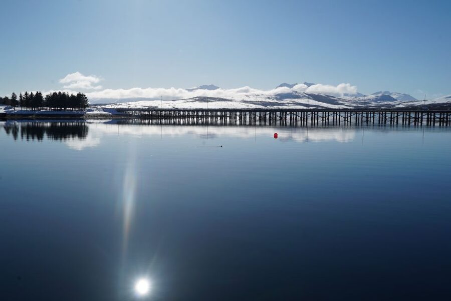 Tromsø: Fjord Cruise by Luxury Yacht - Slowing down in Sørbotn