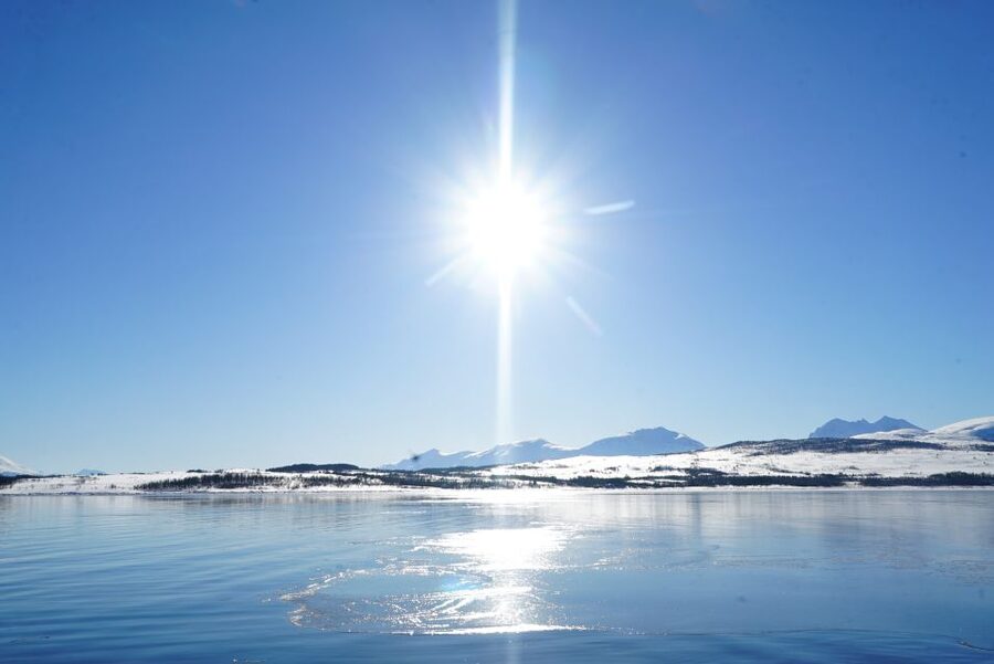 Tromsø: Fjord Cruise by Luxury Yacht - Fishing, steering, and a more active cruise