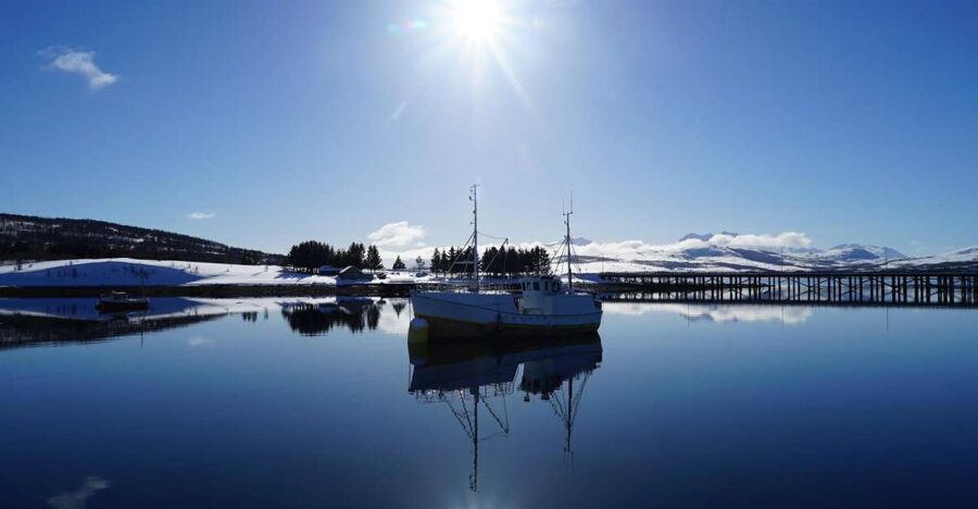 Tromsø: Fjord Cruise by Luxury Yacht - Guide quality can shape the whole trip