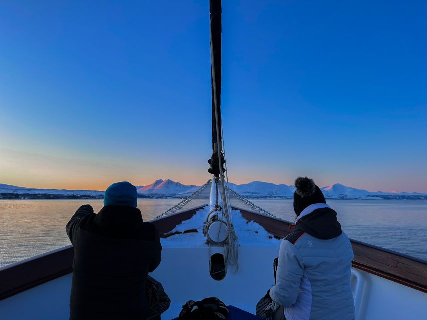 Tromsø: Luxury Polar Fjord Cruise w/ Hot Tub & Polar Plunge - Sailing Stella Oceana through Balsfjorden