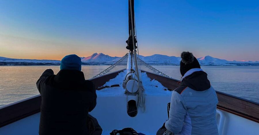 Tromsø: Luxury Polar Fjord Cruise w/ Hot Tub & Polar Plunge - Reindeer stew, hot chocolate, and an easy lunch