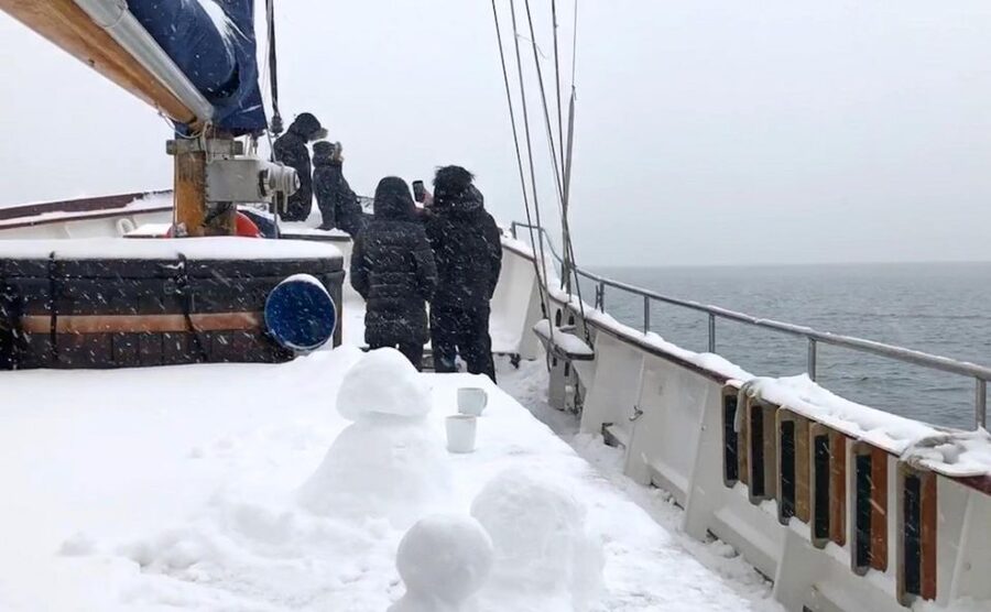 Tromsø: Luxury Polar Fjord Cruise w/ Hot Tub & Polar Plunge - What the 270-minute schedule feels like