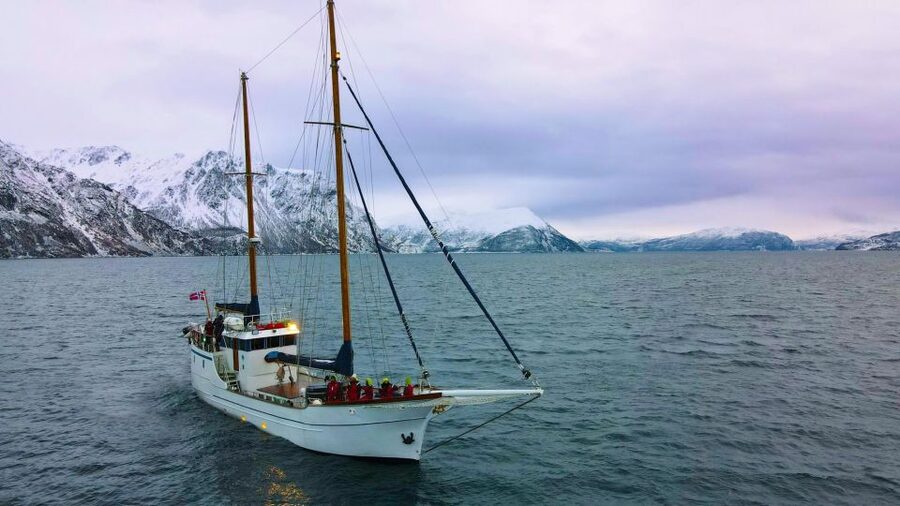Tromsø: Luxury Polar Fjord Cruise w/ Hot Tub & Polar Plunge - Wildlife and views depend on the day