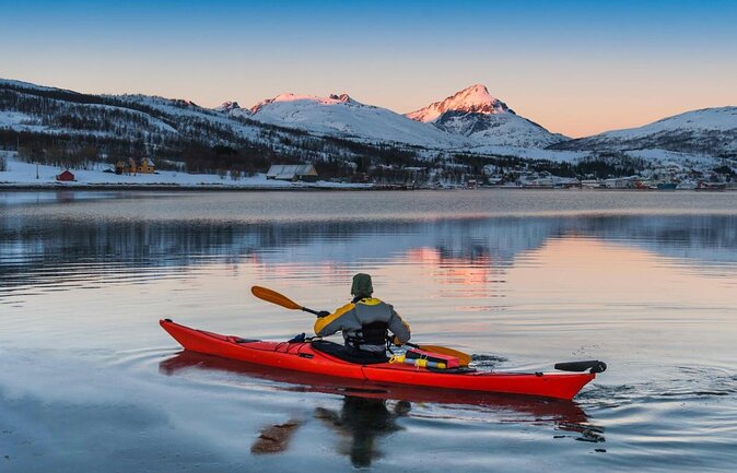Tromso Luxury Sailing Yacht Polar Fjord Cruise with Lunch - Key points at a glance