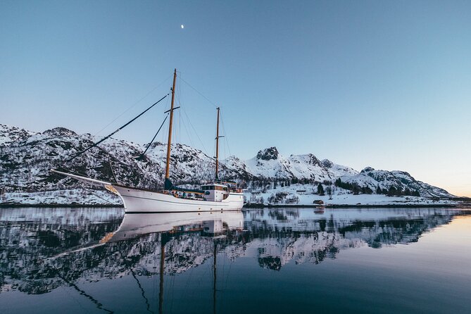Tromso Luxury Sailing Yacht Polar Fjord Cruise with Lunch - Wildlife watching on a moving fjord