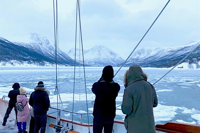Tromso Luxury Sailing Yacht Polar Fjord Cruise with Lunch - Price, group size, and practical value