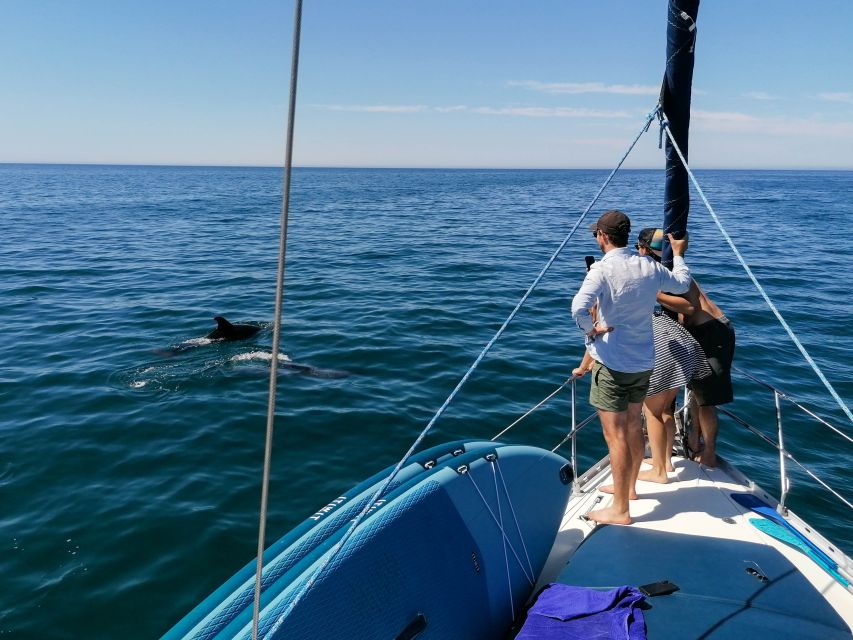 Vilamoura: Coastal Cruise on a Luxury Sailing Yacht - Should You Book It?