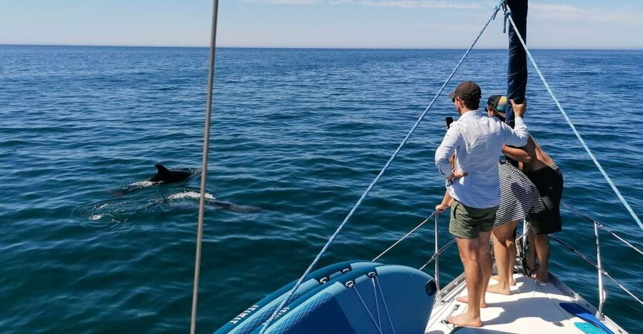 Vilamoura: Coastal Cruise on a Luxury Sailing Yacht - Falésia Beach and Its Clay Cliffs