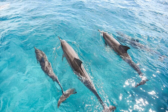 Waikiki's Premier Small Group Sunset Yacht + Tasting - Should you book MANA’s six-person sunset cruise?
