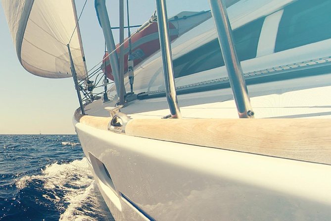 Whale and Dolphin Watching Yacht Trip in Puerto Colon - What you are likely to see near Tenerife