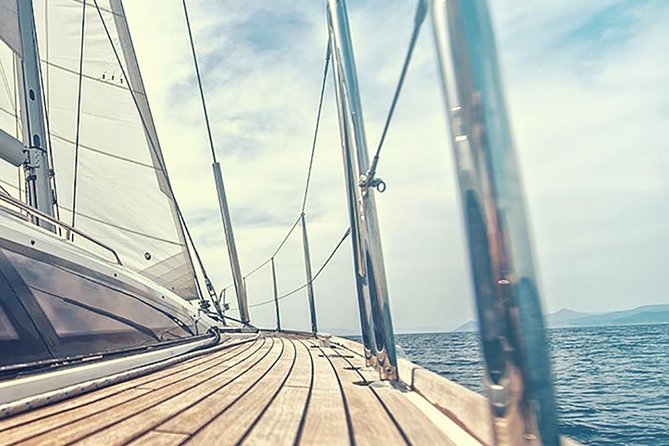 Whale and Dolphin Watching Yacht Trip in Puerto Colon - Swimming and snorkeling in a sheltered bay
