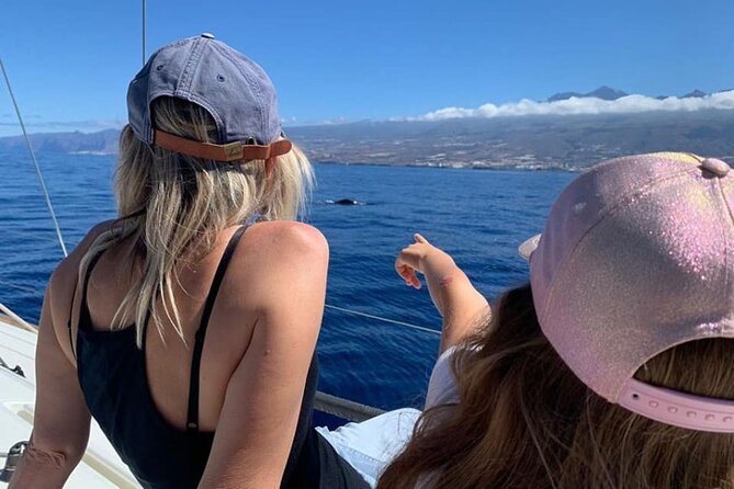 Whale and Dolphin Watching Yacht Trip in Puerto Colon - Price and value at $62.56