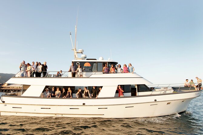 Whale and Wildlife Yacht Cruise in Santa Barbara - Why the Santa Barbara Channel makes a good whale-watching ground