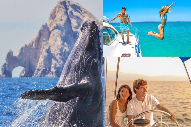 Whale Watching & Arch Catamaran Cruise in Cabo San Lucas - Starting at the EcoCat office in Cabo Marina