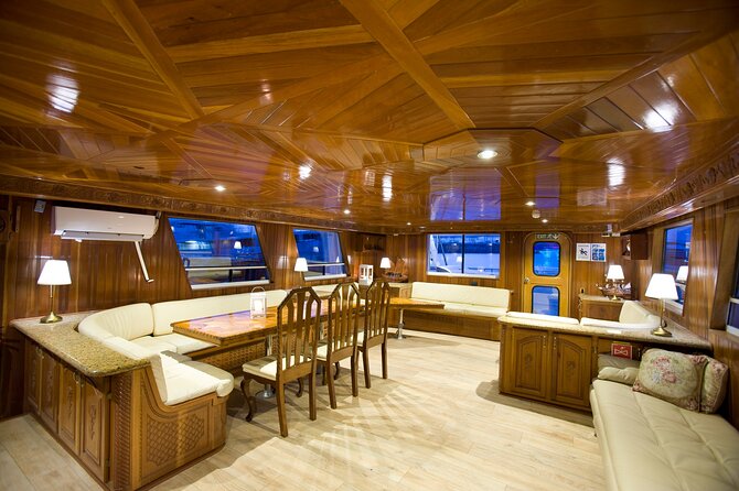 Whale Watching Cruise on a Yacht in Reykjavik - The yacht, seating, and cold-weather comfort