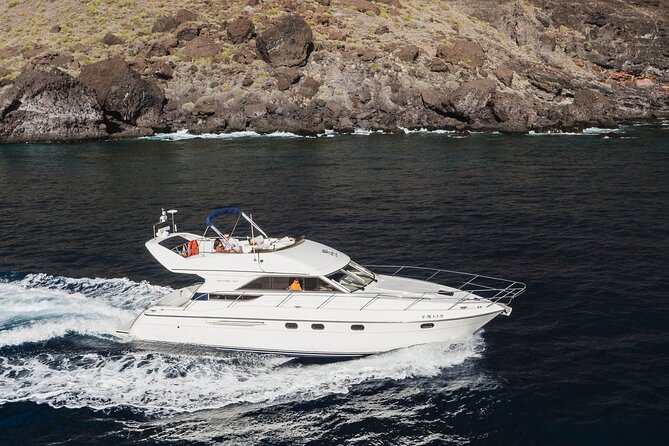 Whales and Dolphins excursion on a Luxury Yacht in Canary Islands - From Las Galletas into open water