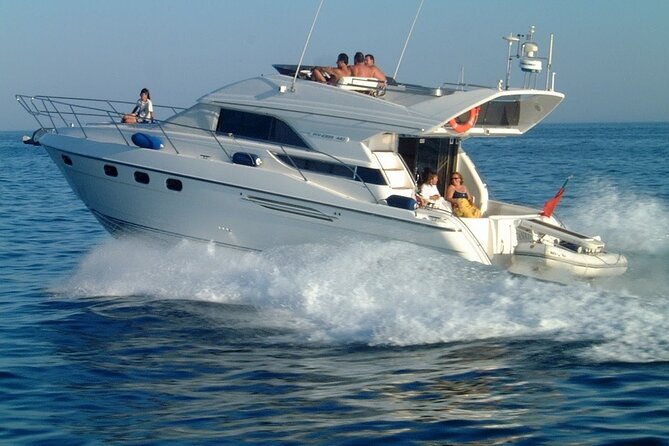 Whales and Dolphins excursion on a Luxury Yacht in Canary Islands - Who will enjoy Royal Ocean most?