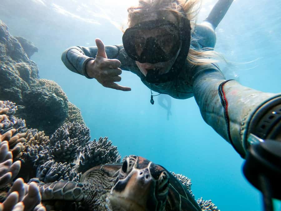 Whitsundays: 2-Day, 2-Night Maxi Yacht Sailing Adventure - What the $494 price really covers