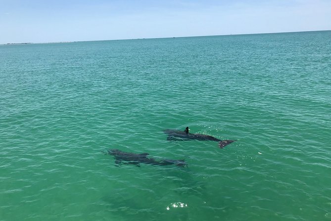Yacht Charter Madeira beach and Tampa Bay - What the four-hour cruise feels like