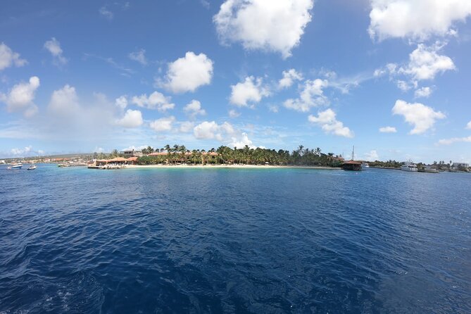 Yacht tour with local guide & snorkeling activities - Snorkeling details that matter
